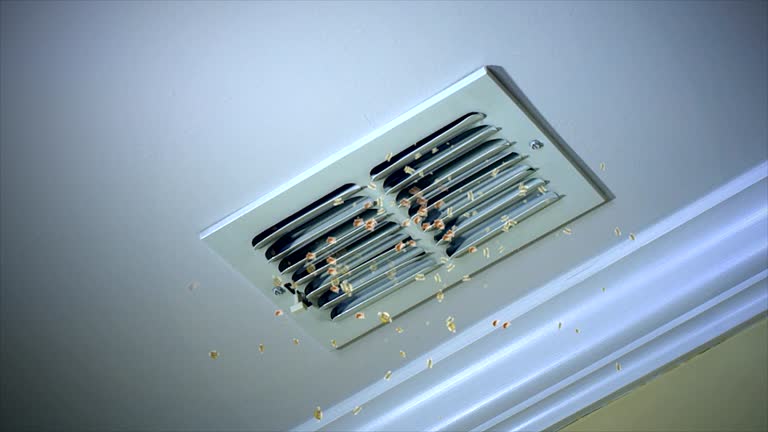 Best Home Air Vent Cleaning  in Wilson, NC