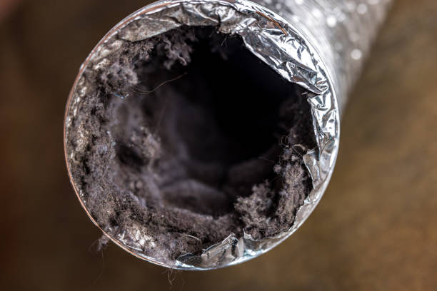 Best Ductwork Cleaning Services  in Wilson, NC