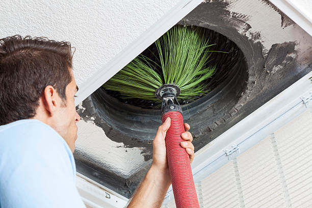 Best Emergency Air Duct Cleaning  in Wilson, NC