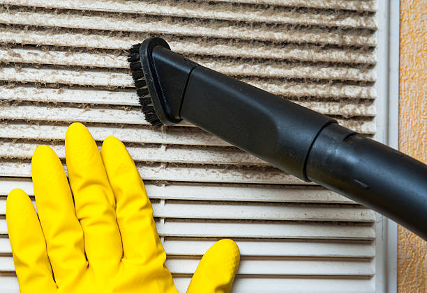 Best Affordable Duct Cleaning Services  in Wilson, NC
